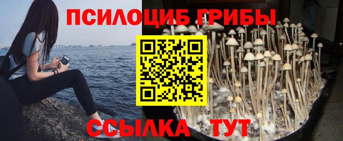 Псилоцибиновые грибы Magic Shrooms Коряжма