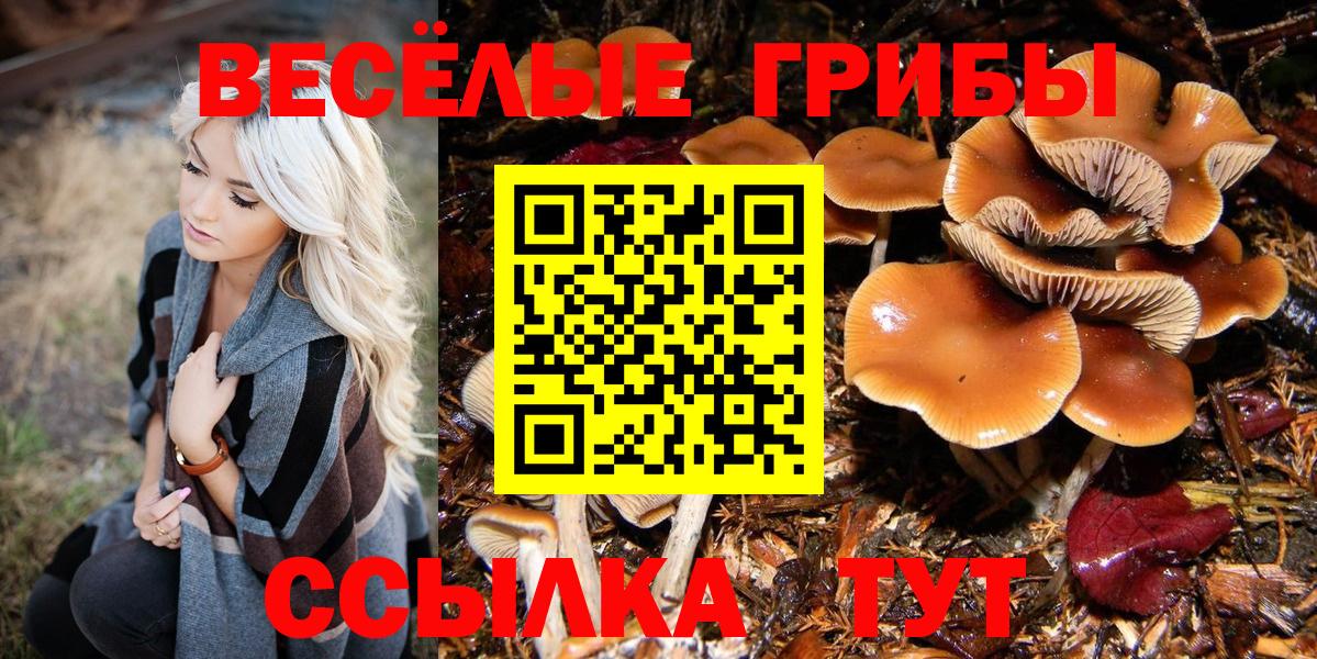 Галлюциногенные грибы мухоморы  Вход с VPN  Коряжма 