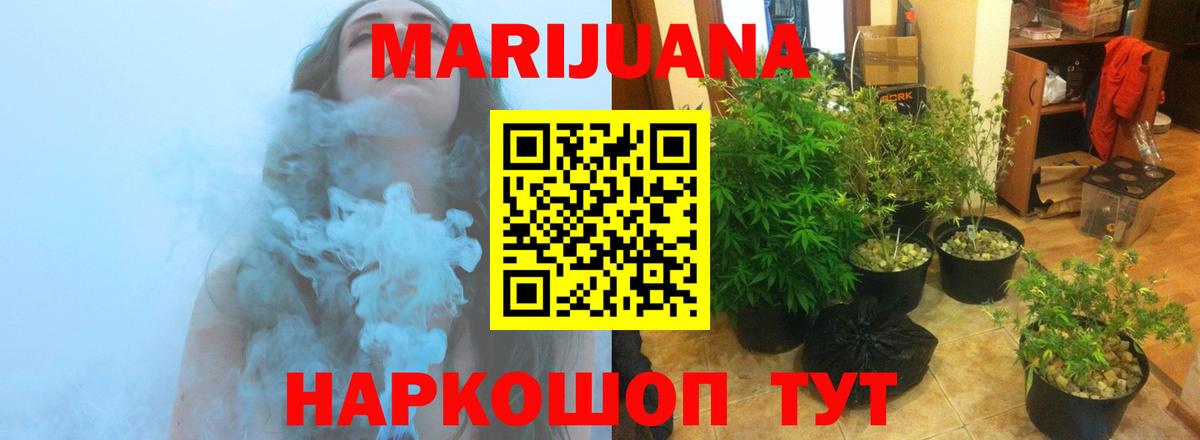 Канабис SATIVA & INDICA Коряжма